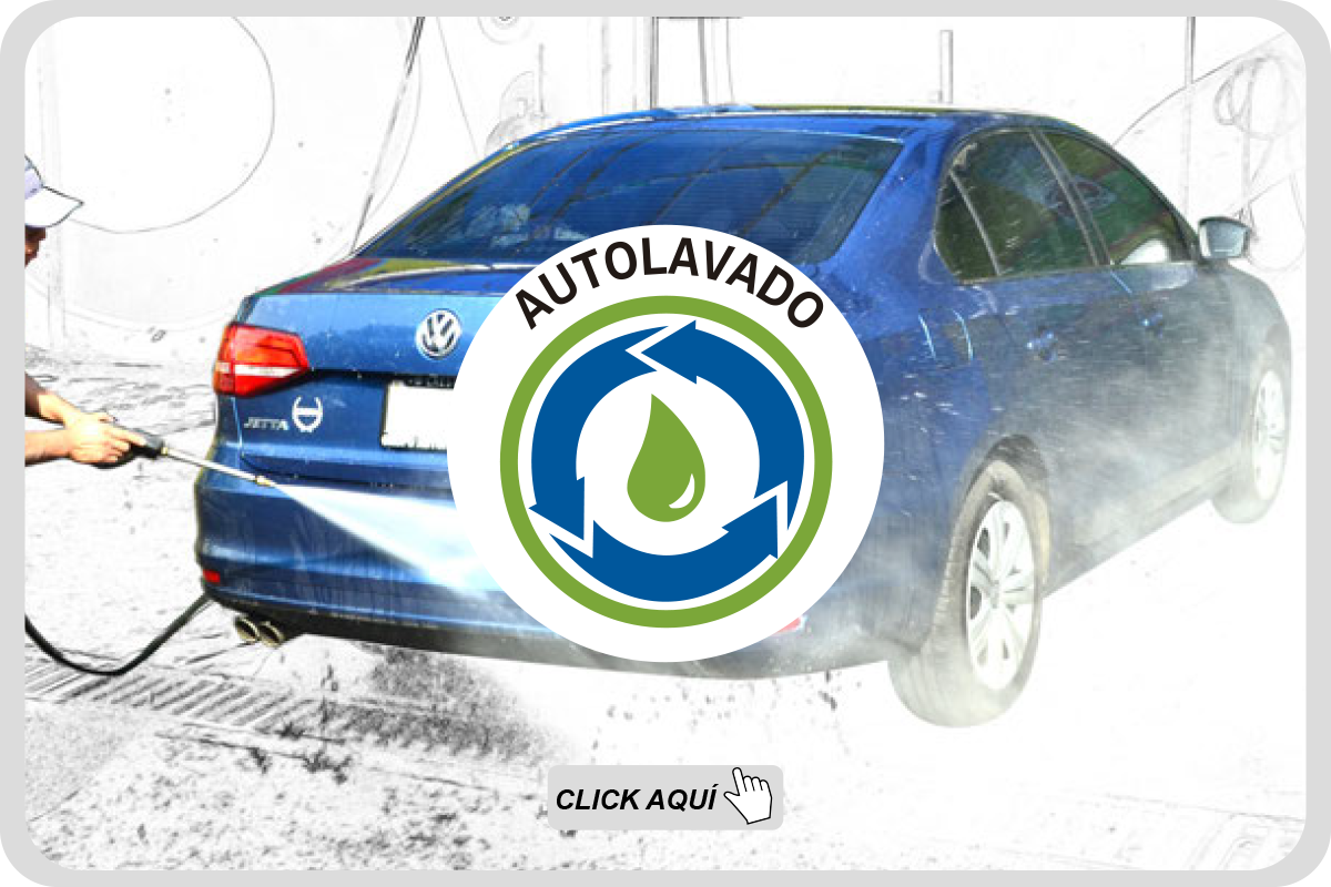 Auto Lavado